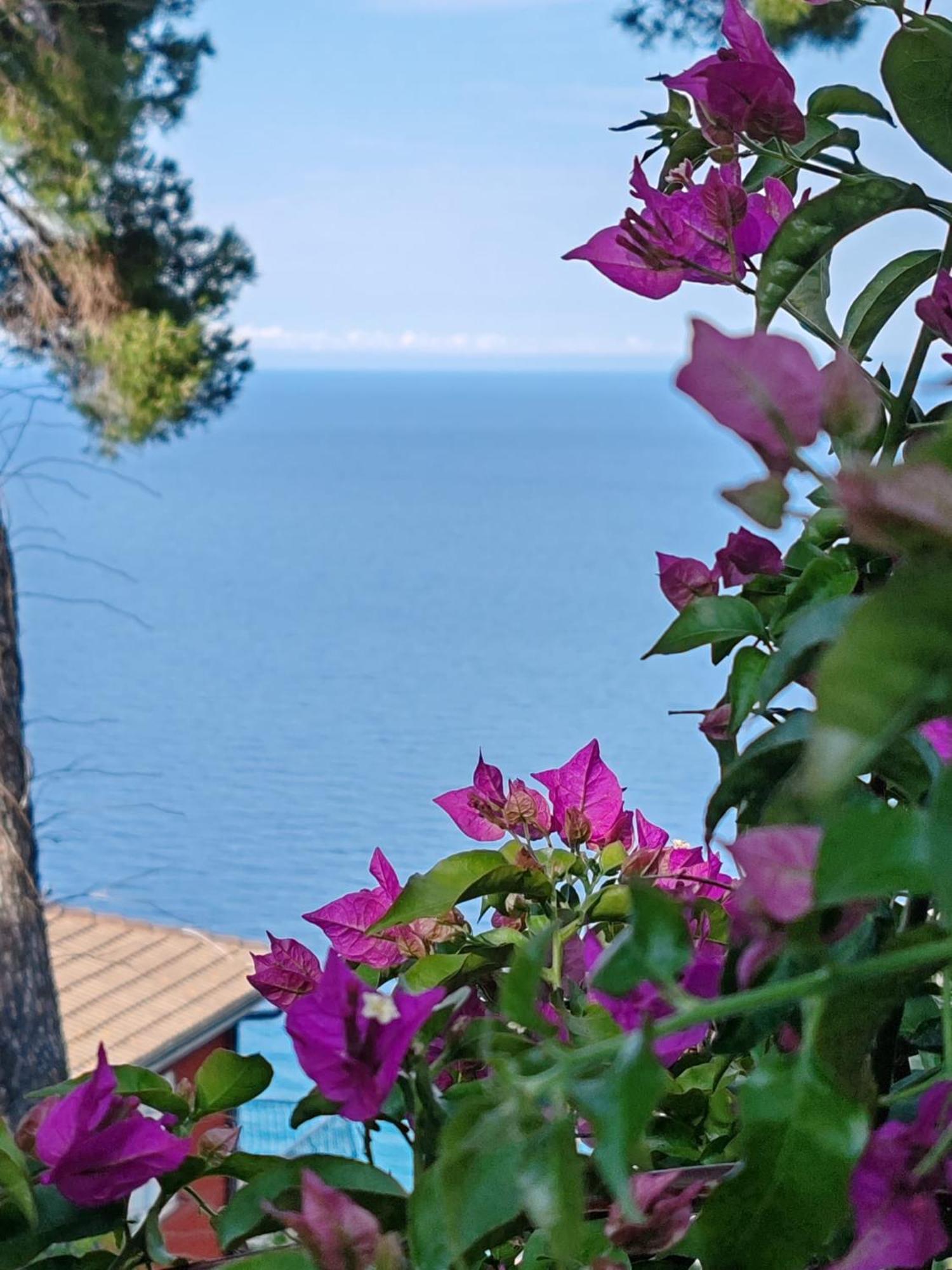 Appartamento Vista Mare ألبينغا المظهر الخارجي الصورة