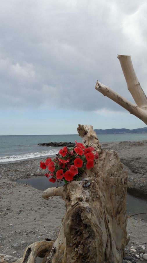 Appartamento Vista Mare ألبينغا المظهر الخارجي الصورة